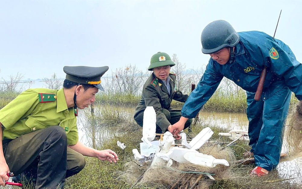 Determined to eliminate wild bird traps.
