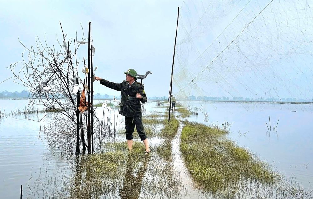 Kiem lam TP Hue cho biet, de cham dut tinh trang san bat chim troi, thoi gian toi don vi se tiep tuc phoi hop voi cac don vi, tang cuong tuan tra mua chim di cu, dong thoi ung dung camera giam sat va thiet bi bay khong nguoi lai de kip thoi phat hien cac diem vi pham. 