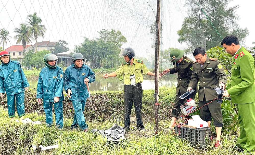 Chi cuc Kiem lam TP Hue cho biet, tu dau nam 2025 den nay, cac luc luong lien nganh da to chuc 42 dot truy quet quy mo lon nham ngan chan nan san bat chim hoang da. 