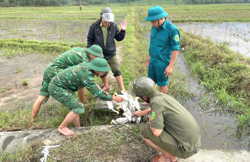 Tu dau nam 2025 den nay, co hon 9.000 con co gia, 543 coc tre va 83 bay kep cung bi phat hien, thao do va tieu huy ngay tai hien truong. 