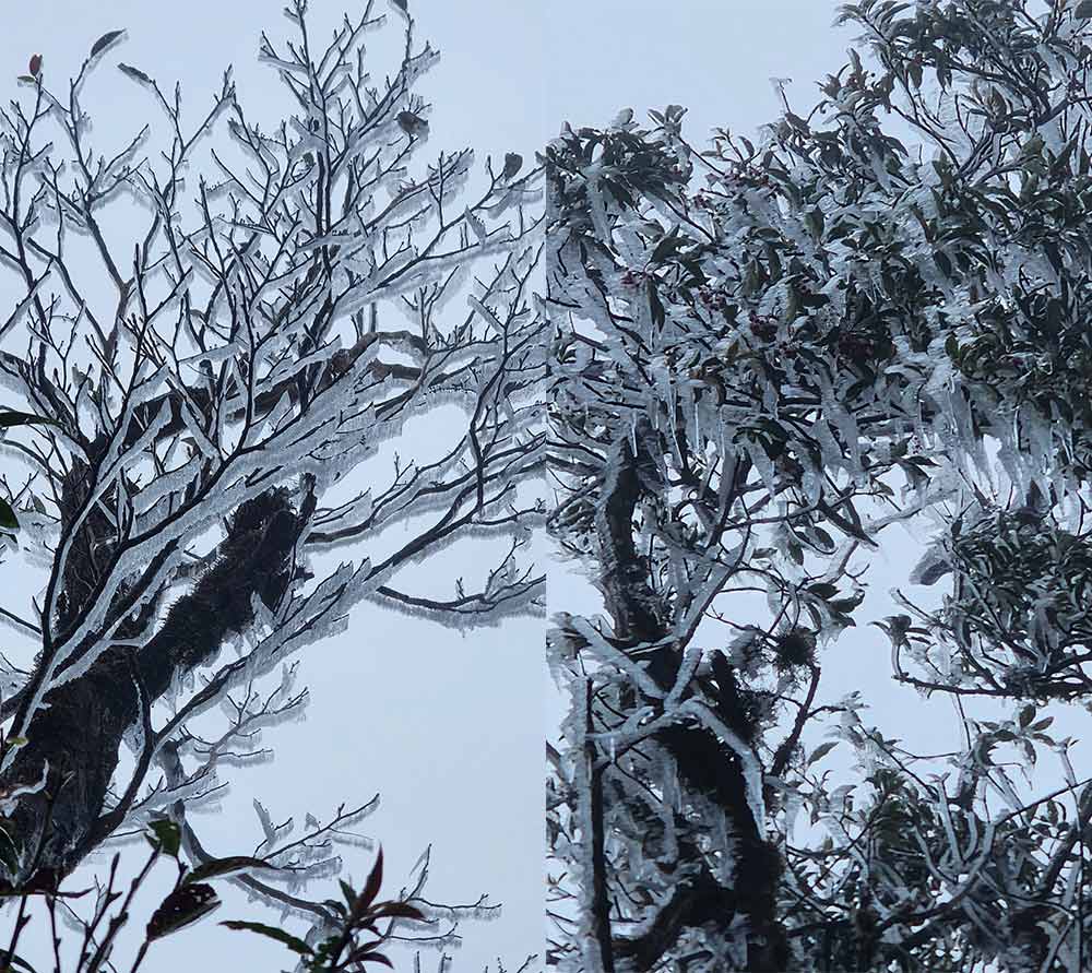 High mountainous areas in the North are at risk of frost and freezing due to prolonged cold air. Photo: Phang A Chia
