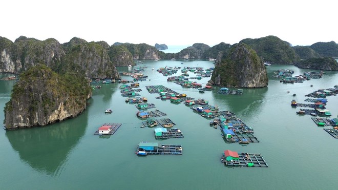 Hai Phong builds a program to develop high-class tourism products associated with heritage preservation. Photo: Mai Dung