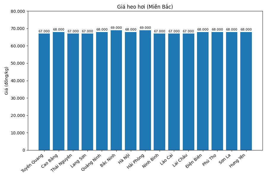 Gia heo hoi hom nay 5.1 tai mien Bac. Do hoa: Thuy Linh. 