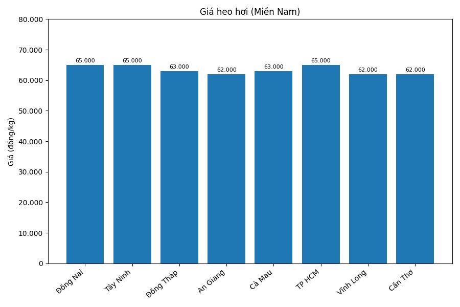 Gia heo hoi hom nay 5.1 tai mien Nam. Do hoa: Thuy Linh.