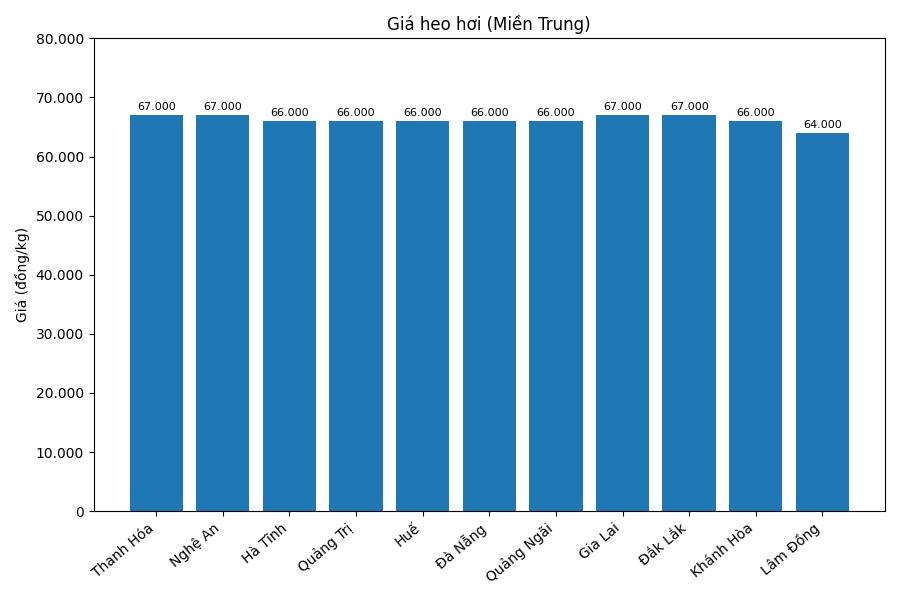 Gia heo hoi hom nay 5.1 tai mien Trung. Do hoa: Thuy Linh.