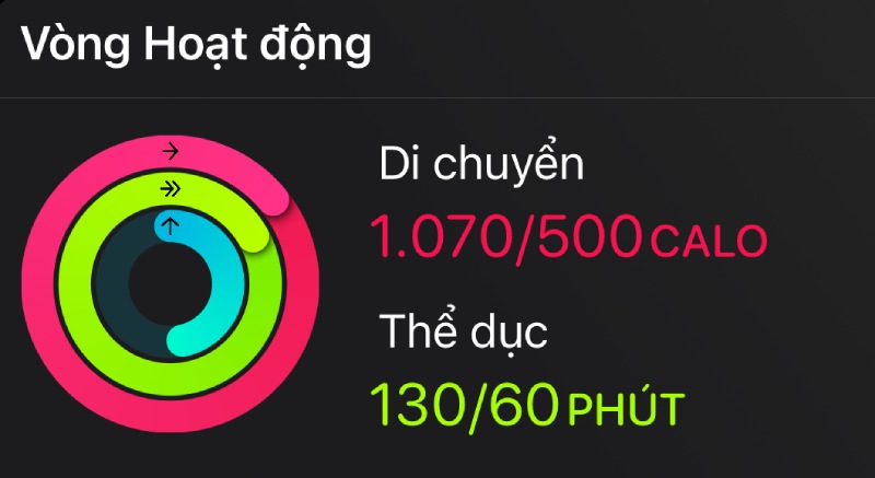 Measurements of activity levels during the day on Apple's Fitness application. Photo: Quang Minh