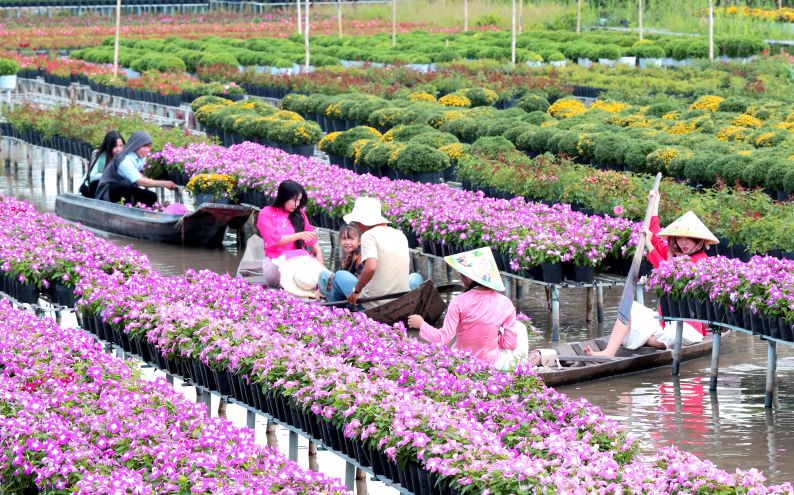 Du khach thich thu khi tham quan cac khu vuon ruc ro sac mau tai Lang hoa Sa Dec. Anh: Ban to chuc