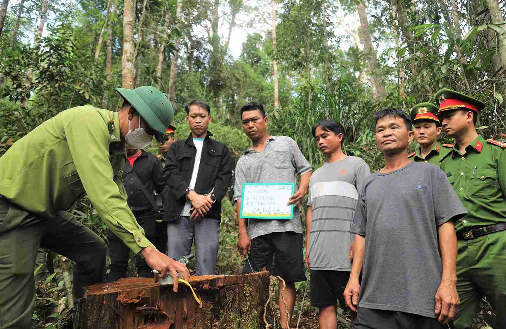 Mot vu triet ha go quy xay ra tai xa Bao Lam 5 (xa Loc Bao, huyen Bao Lam cu) duoc co quan chuc nang triet pha vao dau thang 11.2024. Anh: Phuc Khanh 