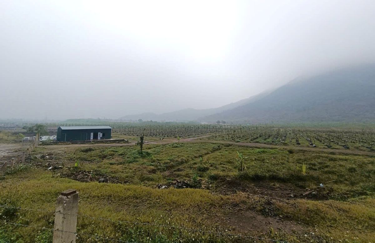 Khu vuc vuon uom cay thuoc du an 