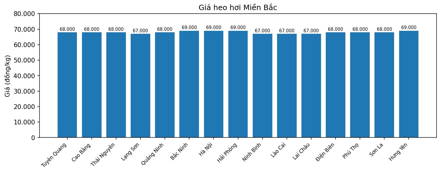 Gia heo hoi hom nay 6.1 tai mien Bac. Do hoa: Thuy Linh.