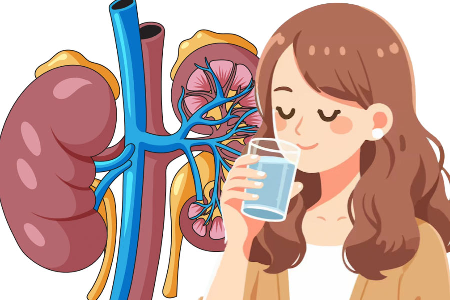 3 habits to help reduce the risk of kidney stones in modern life. Graphics: Thien Nhan