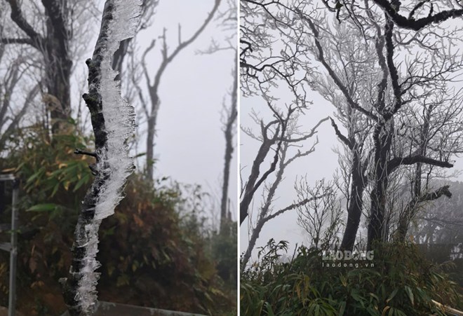 فراست در کائو بنگ ظاهر می‌شود.