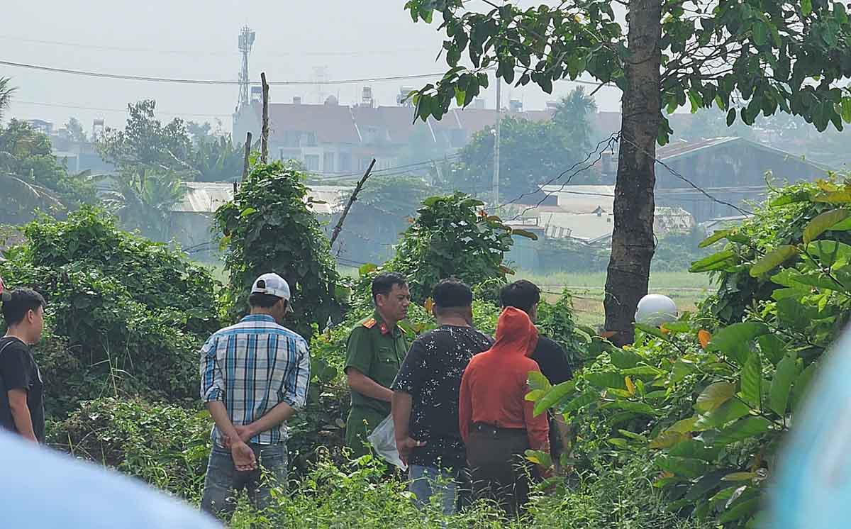 Investigating the case of a man dying in a hanging position on a roadside tree in Ho Chi Minh City. Photo: Dong Hoang