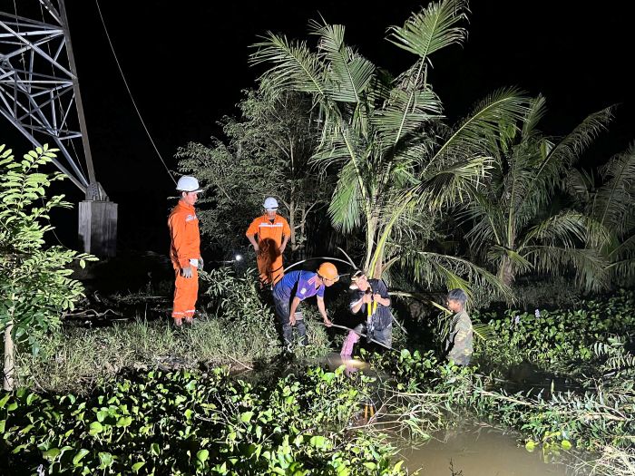 Thi cong ban dem tren tuyen duong day 110kV Tran De – Tram 220kV Soc Trang. Anh: An Duy