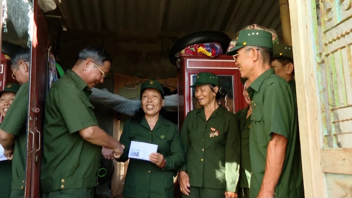 The Government regulates the consideration and posthumous awarding of the "Recent Youth Volunteer Medal". Photo: VTV