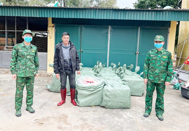 Bắt giữ vụ vận chuyển 1.200kg thịt vịt không rõ nguồn gốc ở Quảng Ninh