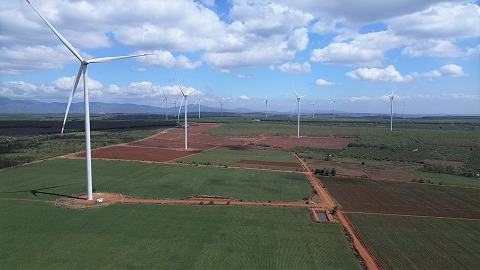 イアペック風力発電プロジェクトの田んぼ。写真:タイン・トゥアン