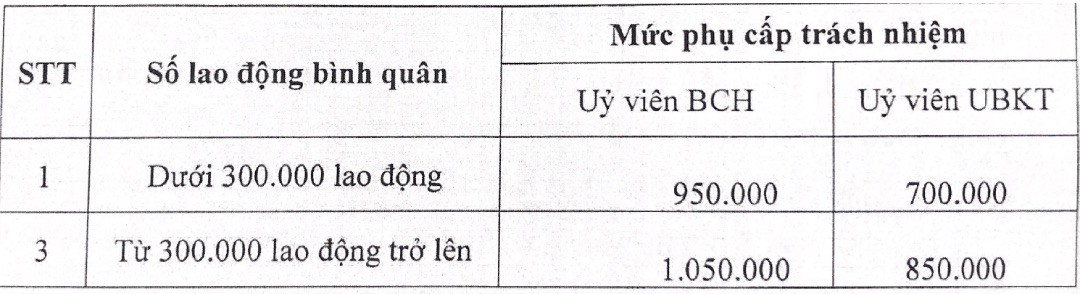 Muc phu cap trach nhiem cua can bo cong doan lien doan lao dong tinh, thanh pho, cong doan nganh Trung uong, cong doan tap doan kinh te, cong doan tong cong ty truc thuoc Tong Lien doan Lao dong Viet Nam. Anh: Bao Han 