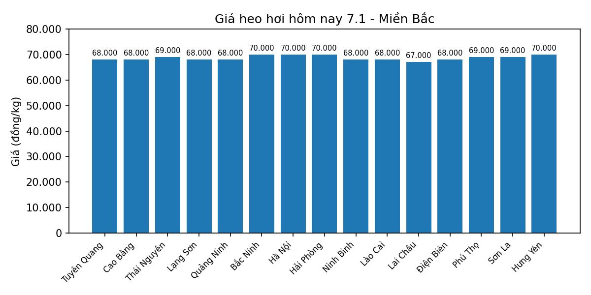 Gia heo hoi hom nay 7.1 tai mien Bac. Do hoa: Thuy Linh.