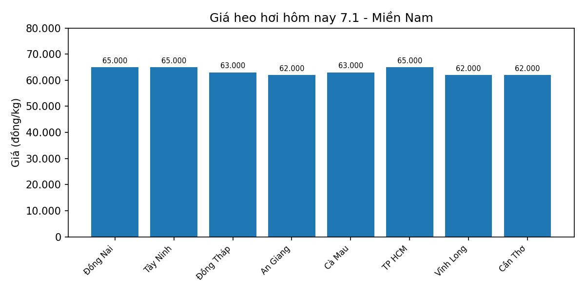 Gia heo hoi hom nay 7.1 tai mien Nam. Do hoa: Thuy Linh.