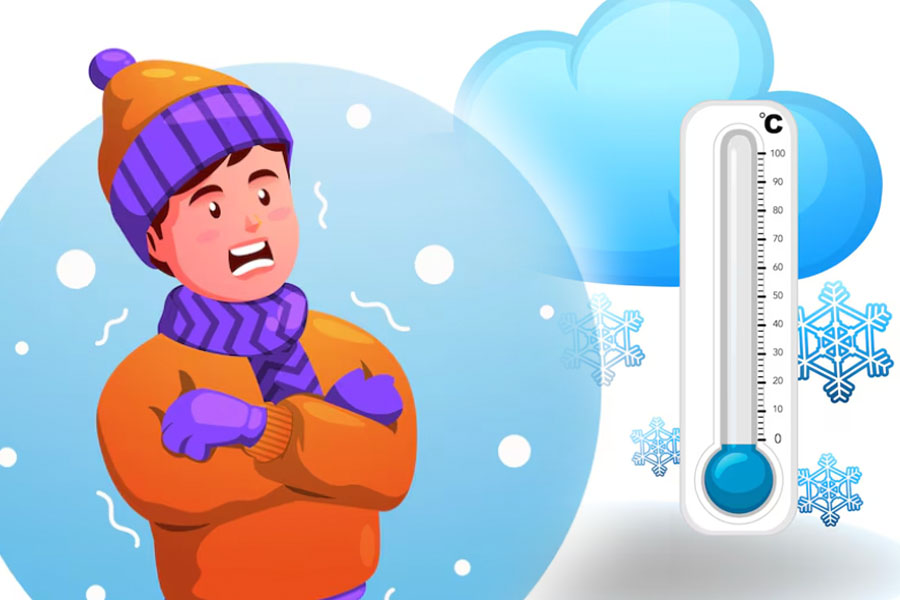 Metabolism and role in human cold resilience. Graphics: Thien Nhan