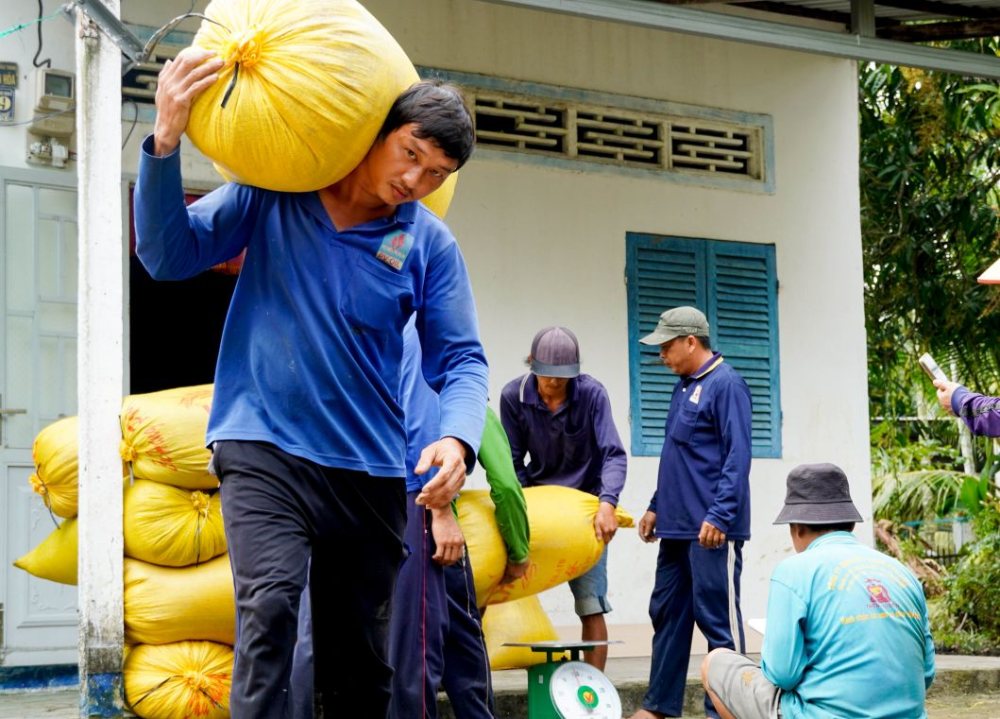 In the fourth quarter of 2025, self-employment workers were 3.8 million people, an increase of 34,100 people compared to the previous quarter and an increase of 177,100 people compared to the same period last year. Photo: Phuong Anh