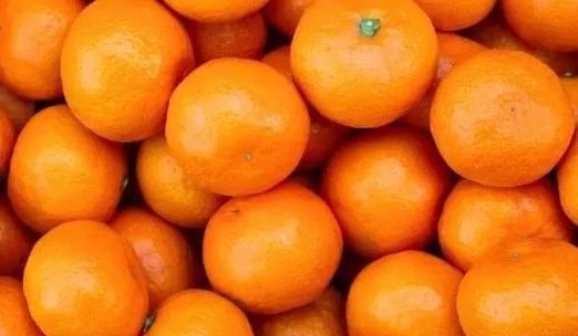 Eating tangerines every day in a reasonable amount helps supplement vitamins, support immunity, digestion and cardiovascular. Photo: Thuy Duong