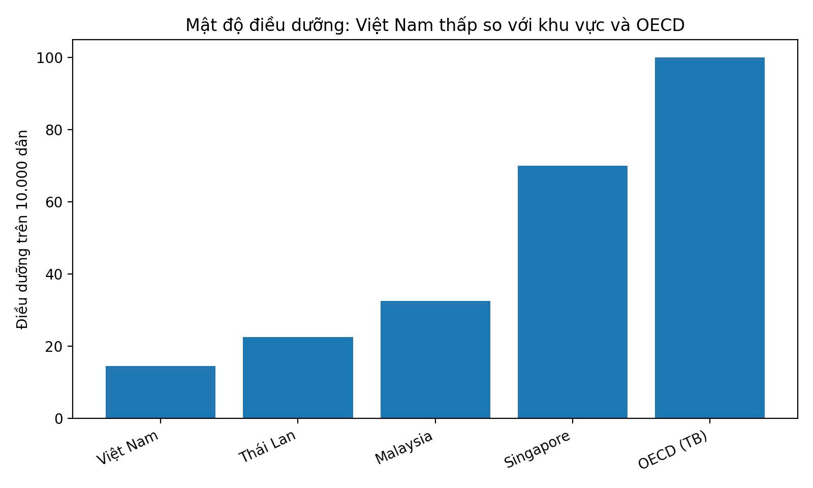 The occupational density of the nursing industry in Vietnam is much lower than in countries in the region and OECD countries. Illustrative photo: Quynh Chi