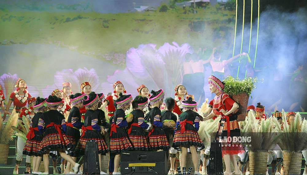 Le hoi hoa ban Dien Bien nam 2026 du kien se bat dau tu 20.1. Anh: Van Thanh Chuong