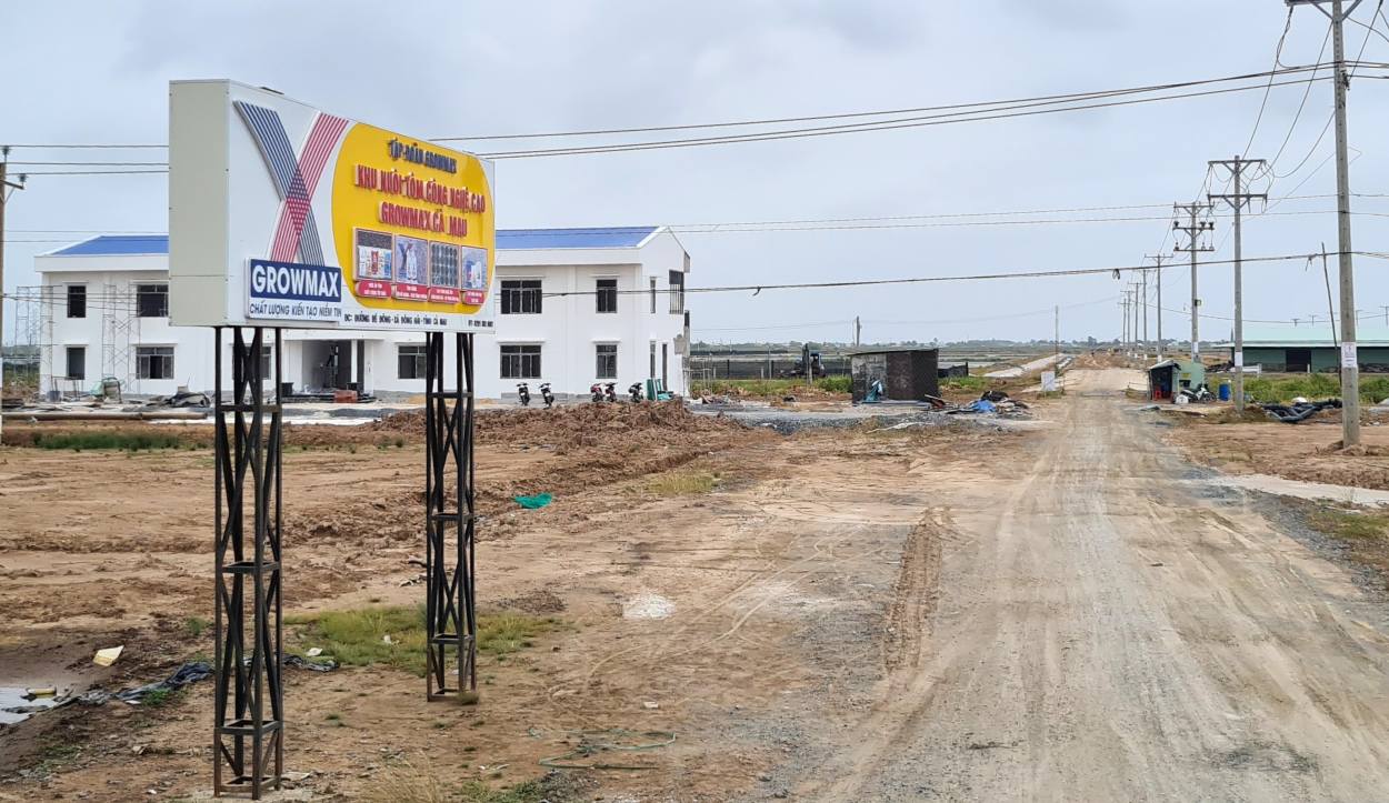 Ha tang vung nuoi tom da duoc tinh Ca Mau dau tu, quy hoach hop ly. Anh: Nhat Ho.