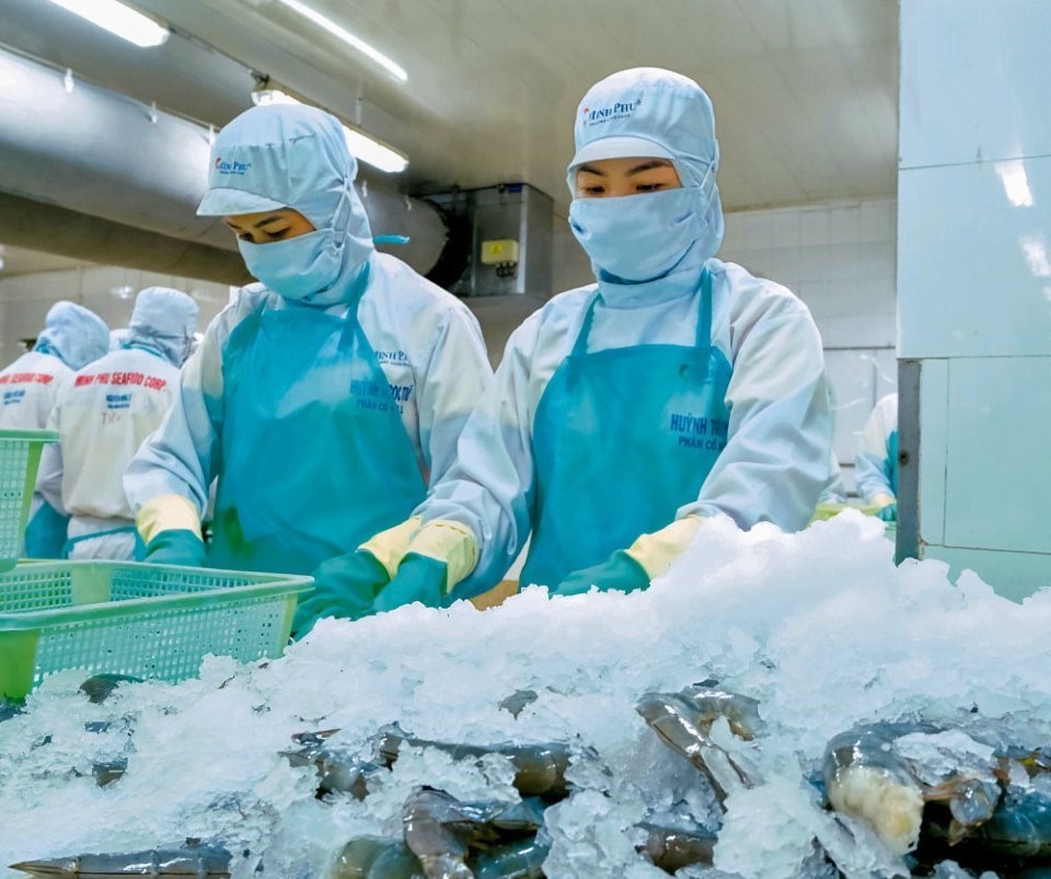 Hien Ca Mau co 89 nha may che bien thuy san xuat khau. Anh: Nhat Ho.