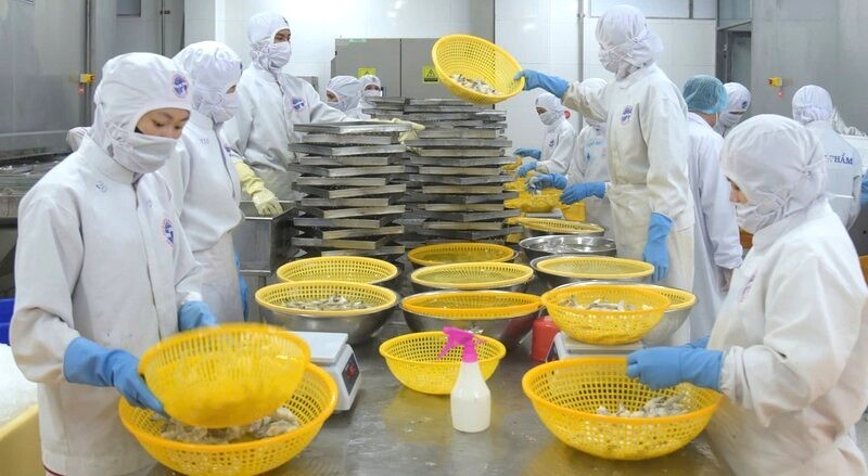 Ca Mau chooses shrimp to promote exports until 2030. Photo: Nhat Ho.