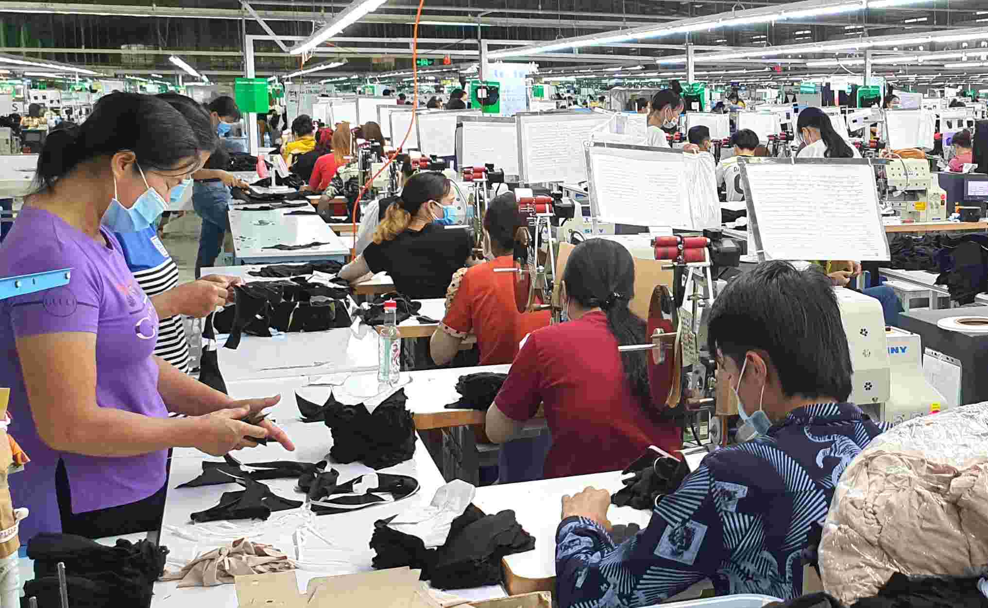 The regional minimum wage applied in Ca Mau province includes 3 levels. Photo: Nhat Ho