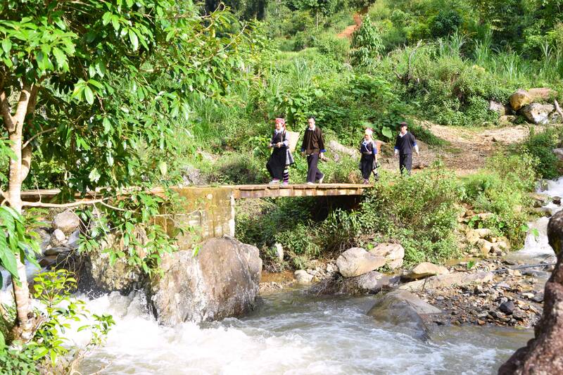 Bien may Cat Linh va nhung cay cau doc dao bac qua suoi. Anh: Truong Son