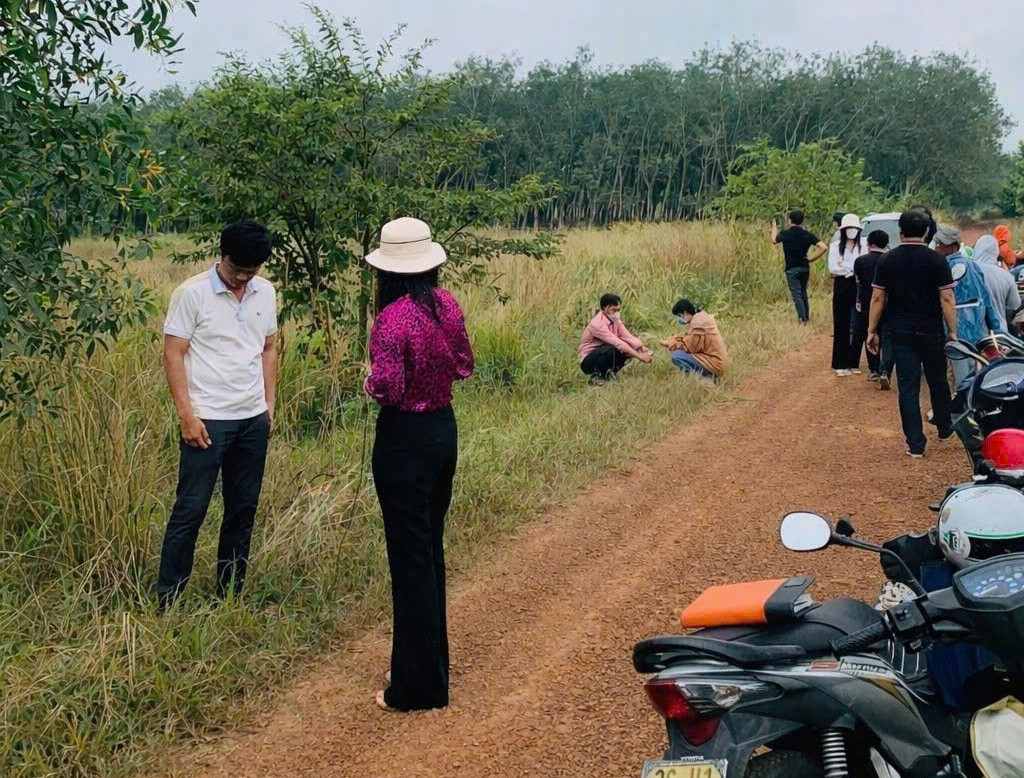Workers face prolonged difficulties due to buying ghost project land in Ho Chi Minh City. Photo: Reader provided