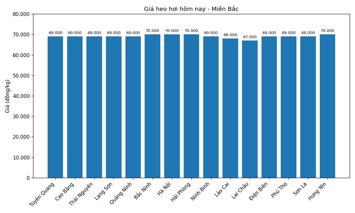Gia heo hoi hom nay 8.1 o mien Bac. Do hoa: Thuy Linh
