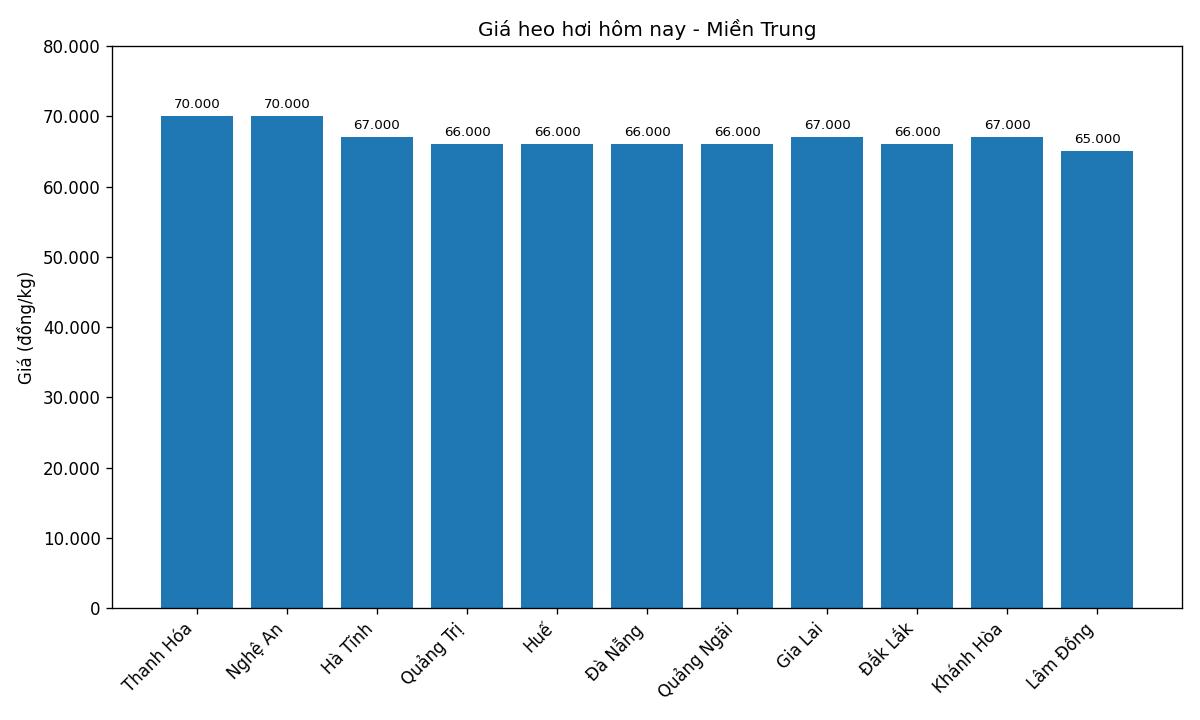 Gia heo hoi hom nay 8.1 tai khu vuc mien Trung. Do hoa: Thuy Linh