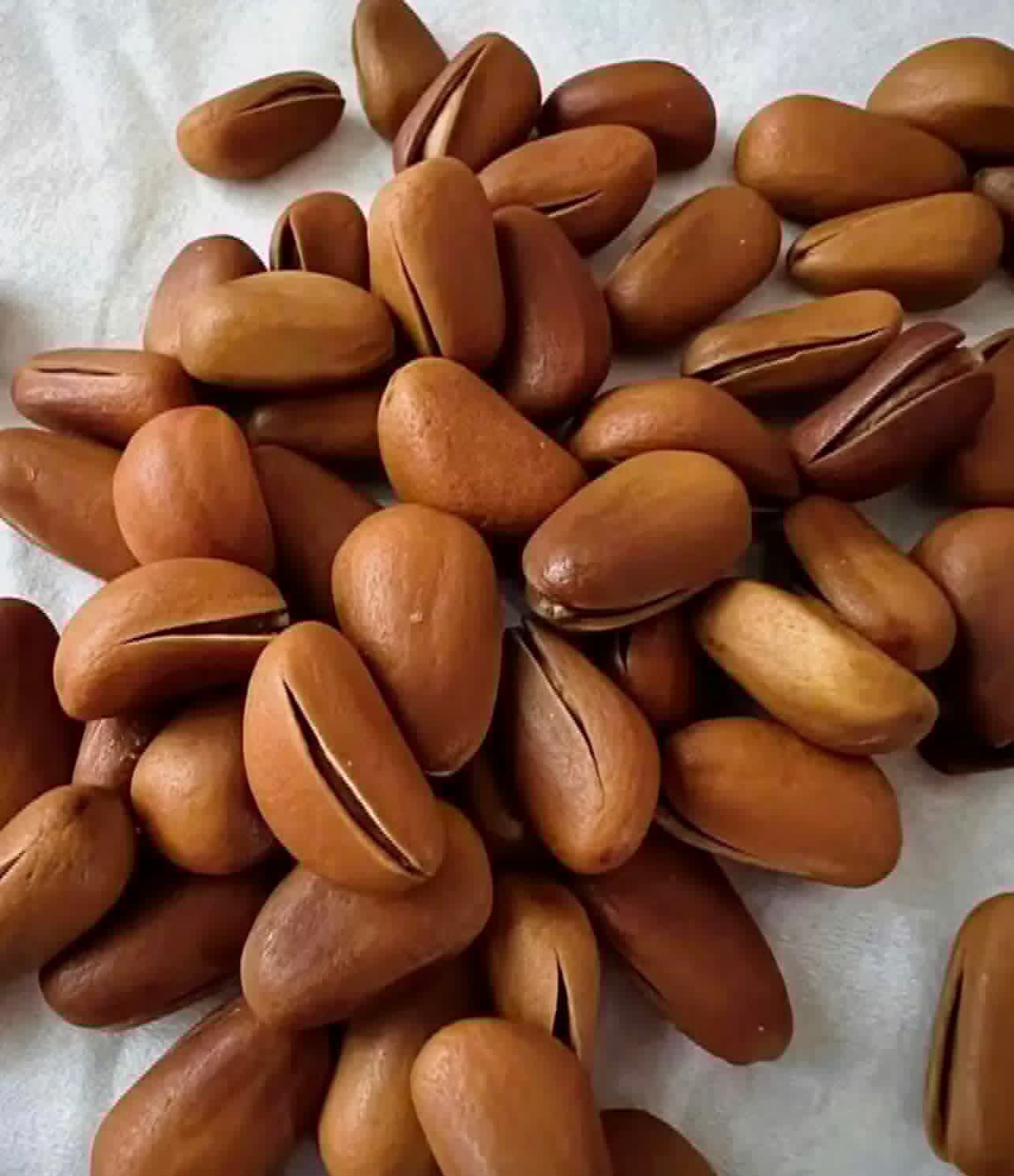 브라질 씨앗은 요산 수치를 낮추는 데 도움이 됩니다. 사진: 꽝민.