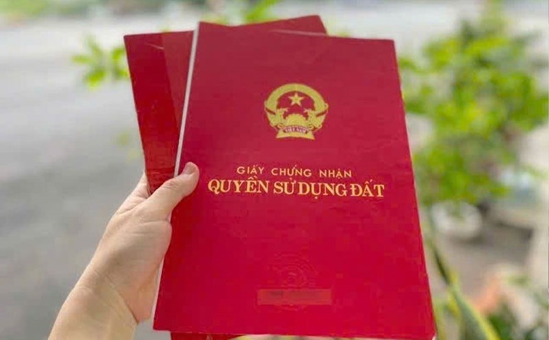 Losing old land use right certificates after many changes: Instructions on how to handle it