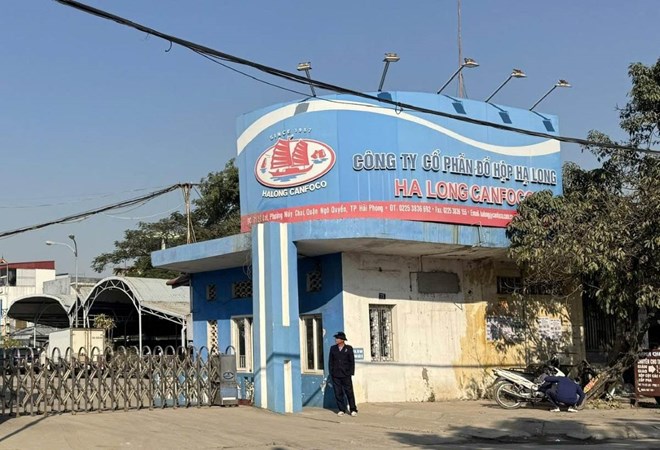 9 đối tượng bị khởi tố vụ 120 tấn thịt lợn nhiễm dịch tả làm thịt hộp ở Hải Phòng