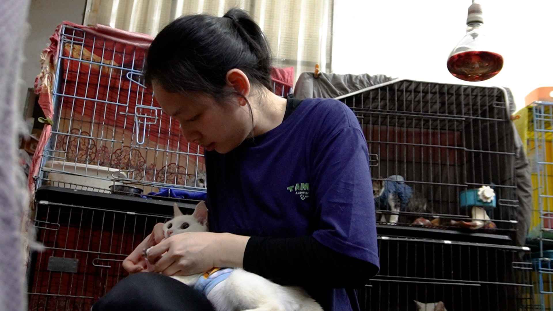 Du co nhung luc cam thay tui than vi it co thoi gian cho ban than, nhung nhin nhung chu cho meo duoc song tiep, chi Linh co them dong luc de khong bo cuoc. Anh: Hanh Thom