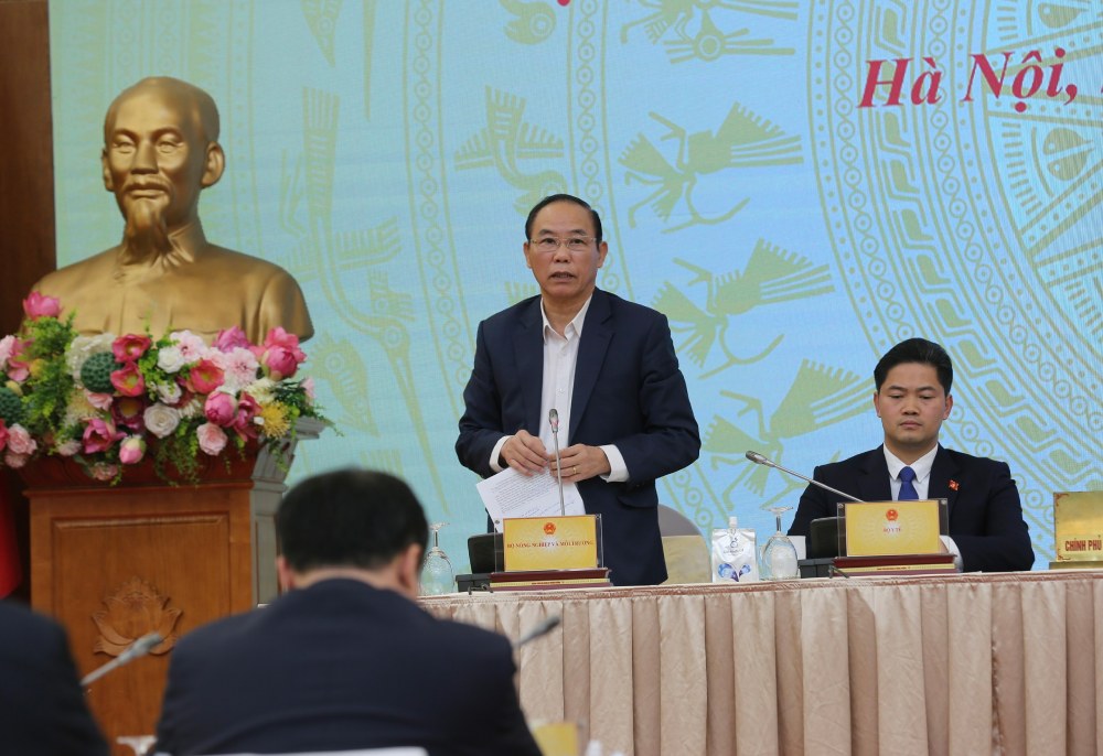 Deputy Minister of Agriculture and Environment Phung Duc Tien pointed out many causes of pollution, including sidewalk paving at the end of the year without shielding. Photo: Pham Dong