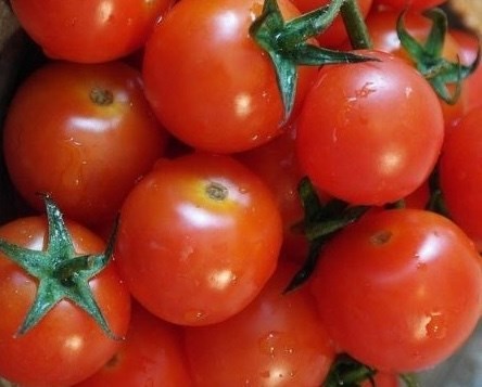 Tomatoes are rich in foods rich in caloteneoids that help reduce visceral fat. Photo: Kieu Vu.