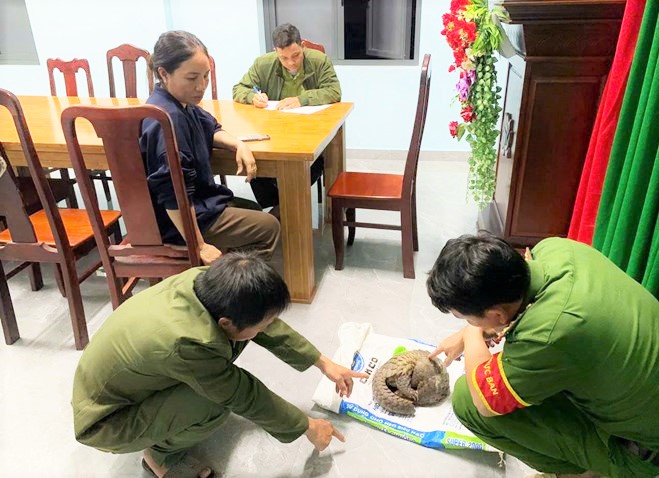 Nguoi dan xa Cat Tien 3 (Lam Dong) giao nop ca the te te java quy hiem cho co quan chuc nang. Anh: Phuc Khanh 