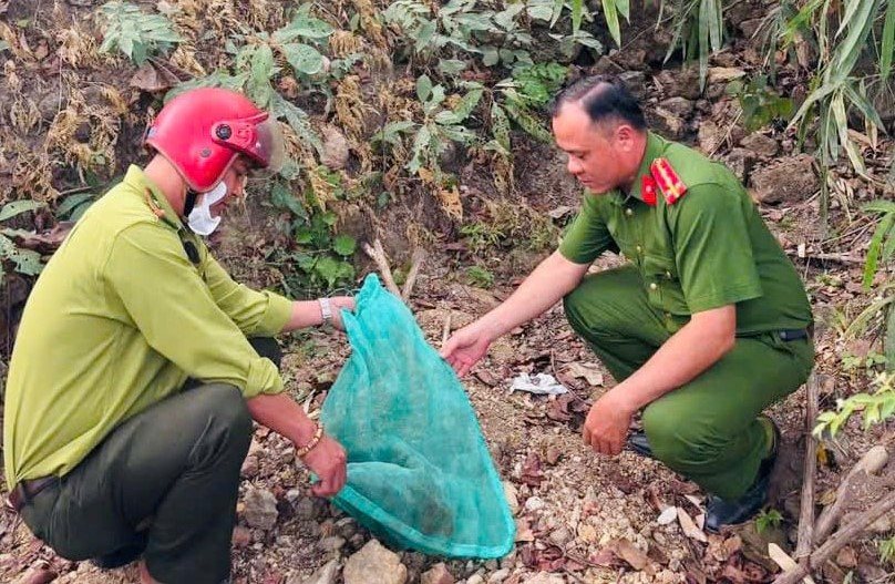Co quan chuc nang tinh Lam Dong tai tha dong vat rung ve moi truong tu nhien. Anh: Cong an cung cap 