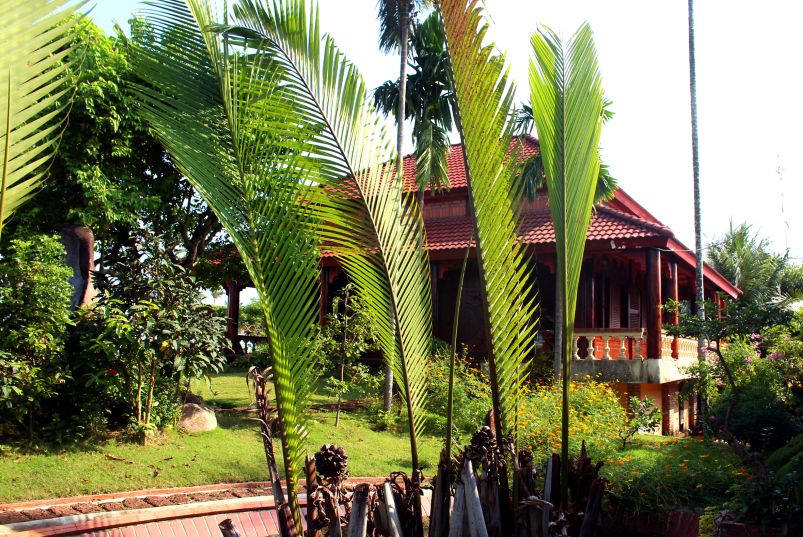 Hang dua nuoc- hinh anh dac trung cua vung Miet thu, noi chon nhau cat ron cua nha van, duoc kheo leo trong ben ngoai khong gian nha luu niem, tao cam giac xanh muot hoai niem. Anh: Lam Dien