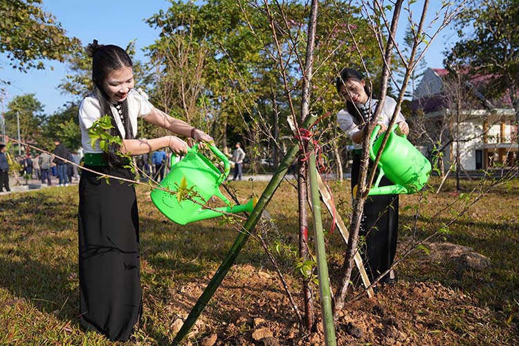 Xa Muong Phang phan dau trong 10.000 cay anh dao trong nam 2026.