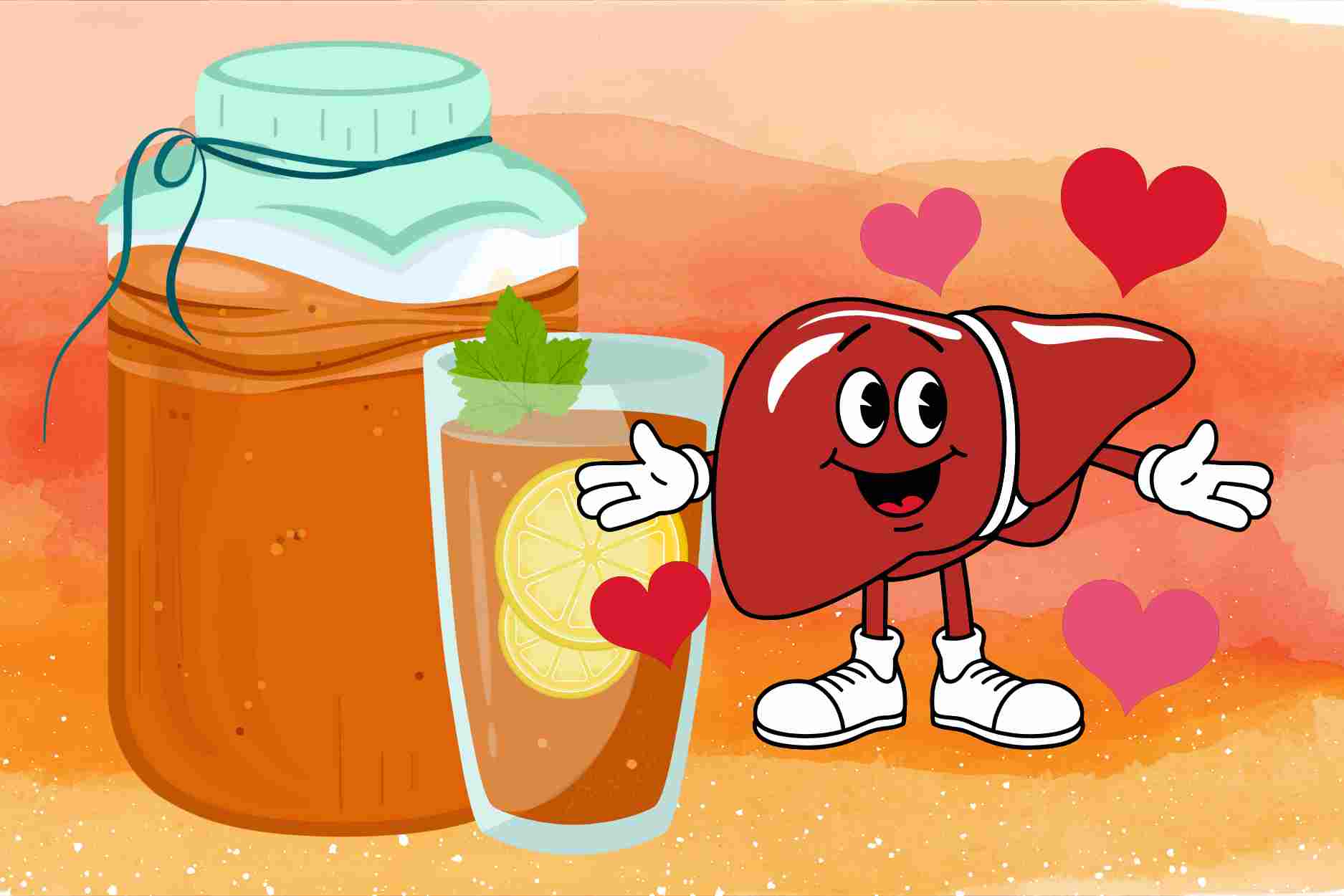 What happens to the liver when drinking kombucha every day