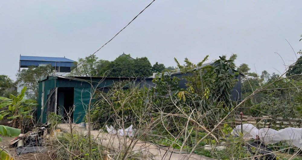 “Can nha” cua ba Canh tro troi giua canh dong, bon be quay ton cu... Anh: Quynh Chi