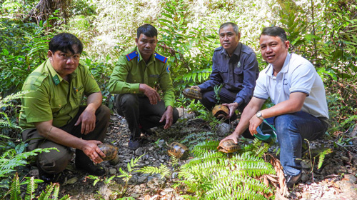 Tha 5 ca the rua nui vang. Anh: VQG Kon Ka Kinh